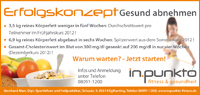 Flyer Erfolgskonzept Gesund Abnehmen